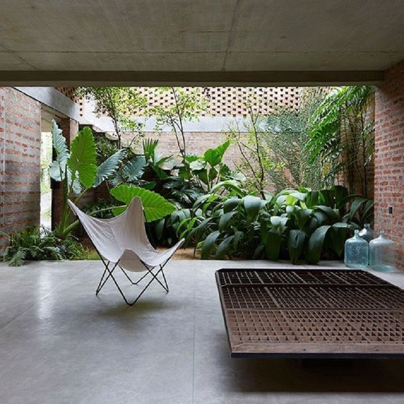 Embracing Indoor Greenery The Beauty of Houseplants – Premium Beauty AI